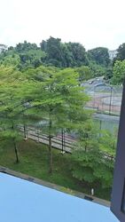 Blk 225 Bukit Batok Central (Bukit Batok), HDB 4 Rooms #569342331